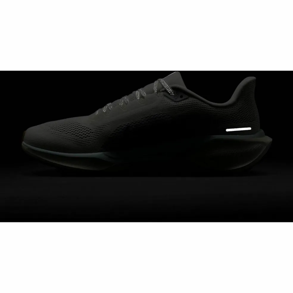 Nike · AIR ZOOM PEGASUS 41