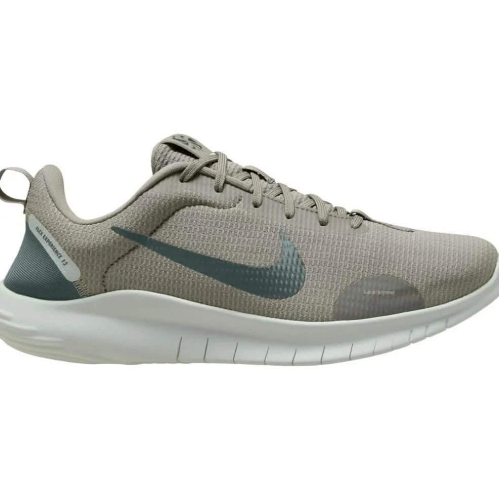 Nike · FLEX EXPERIENCE RN 12