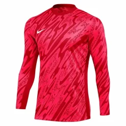 Nike · Gardien V TW-Trikot langarm
