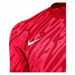 Nike · Gardien V TW-Trikot langarm