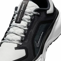 Nike · GTX AIR ZM PEGASUS 41 GTX
