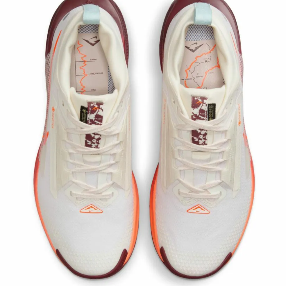 Nike · GTX REACTX PEGASUS TRAIL 5 GTX