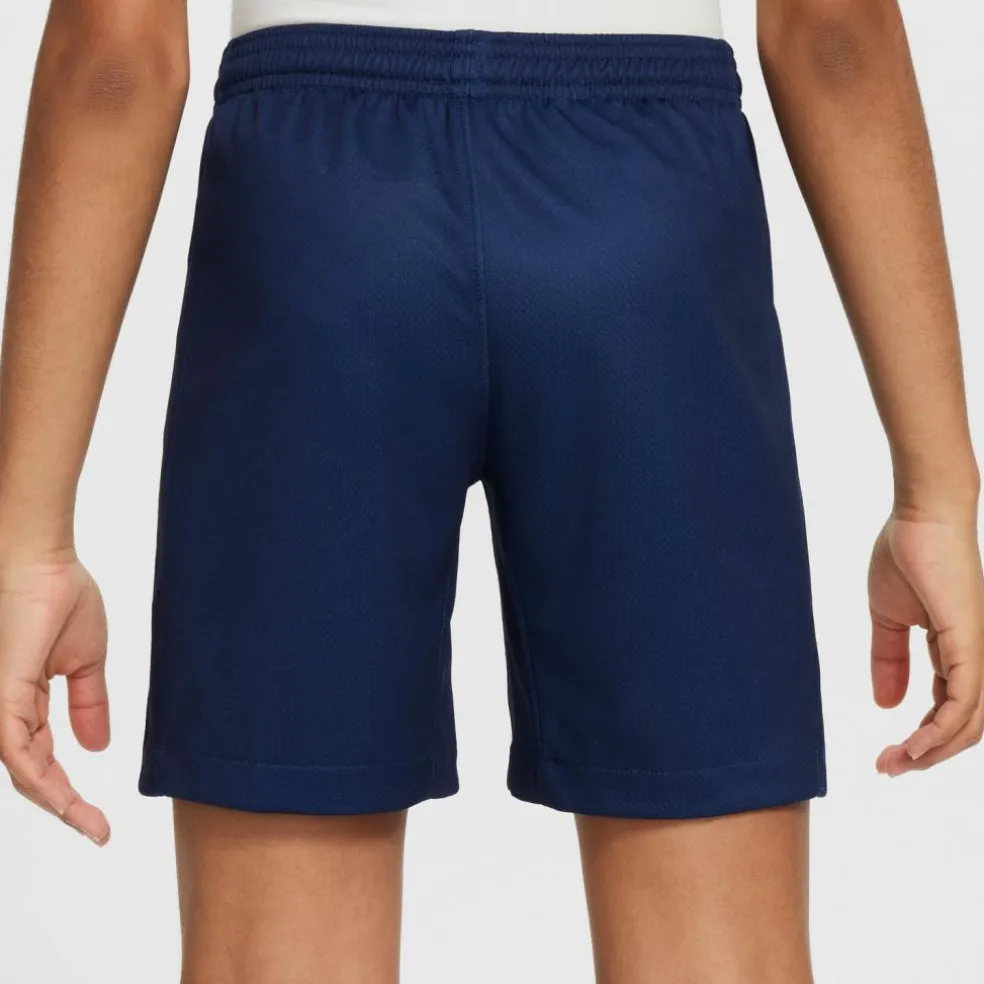 Nike · Paris Saint-Germain 24-25 Heim