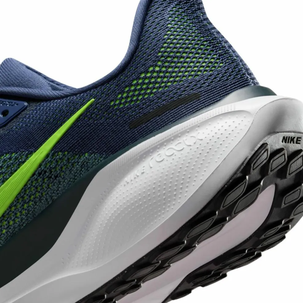 Nike · PEGASUS 41