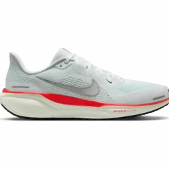 Nike · PEGASUS 41