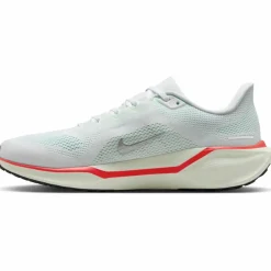 Nike · PEGASUS 41
