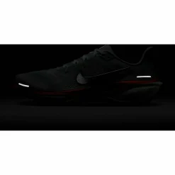 Nike · PEGASUS 41
