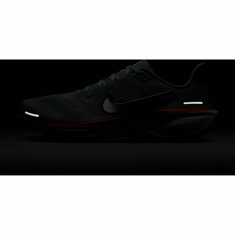 Nike · PEGASUS 41