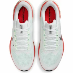 Nike · PEGASUS 41