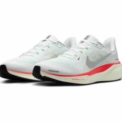 Nike · PEGASUS 41