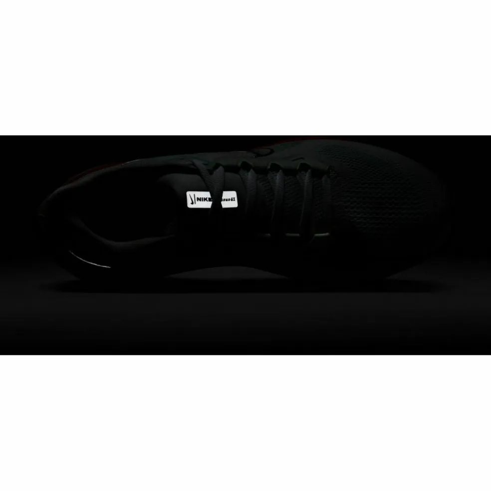 Nike · PEGASUS 41