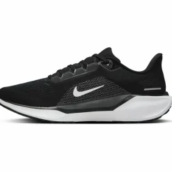 Nike · PEGASUS 41