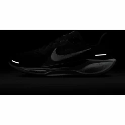 Nike · PEGASUS 41