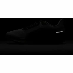 Nike · Pegasus 41 PRM