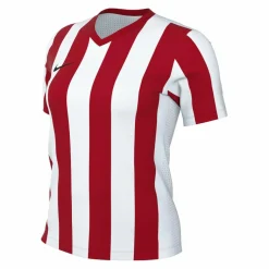 Nike · Stripe Divison V Trikot Damen