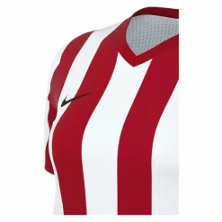 Nike · Stripe Divison V Trikot Damen