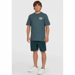 O'NEILL · BACK PRINT