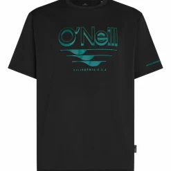 O'NEILL · HYBRID GRAPH