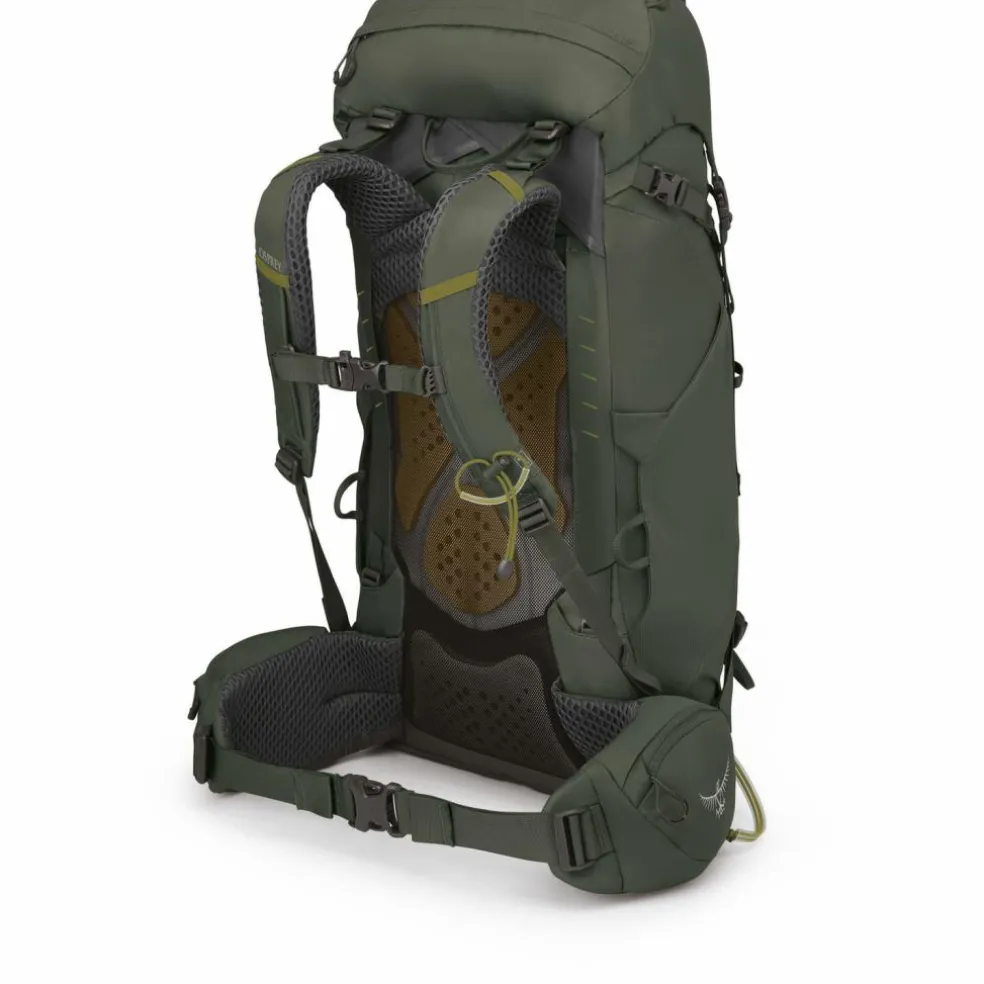 Osprey · Kestrel 38