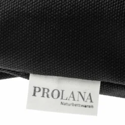 Prolana · Prolana