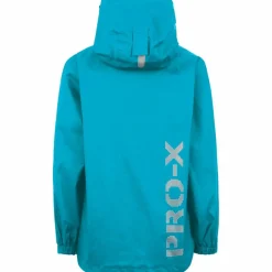 PRO-X elements · FLASHY