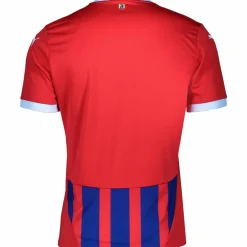 PUMA · 1. FC Heidenheim 24/25 Heim