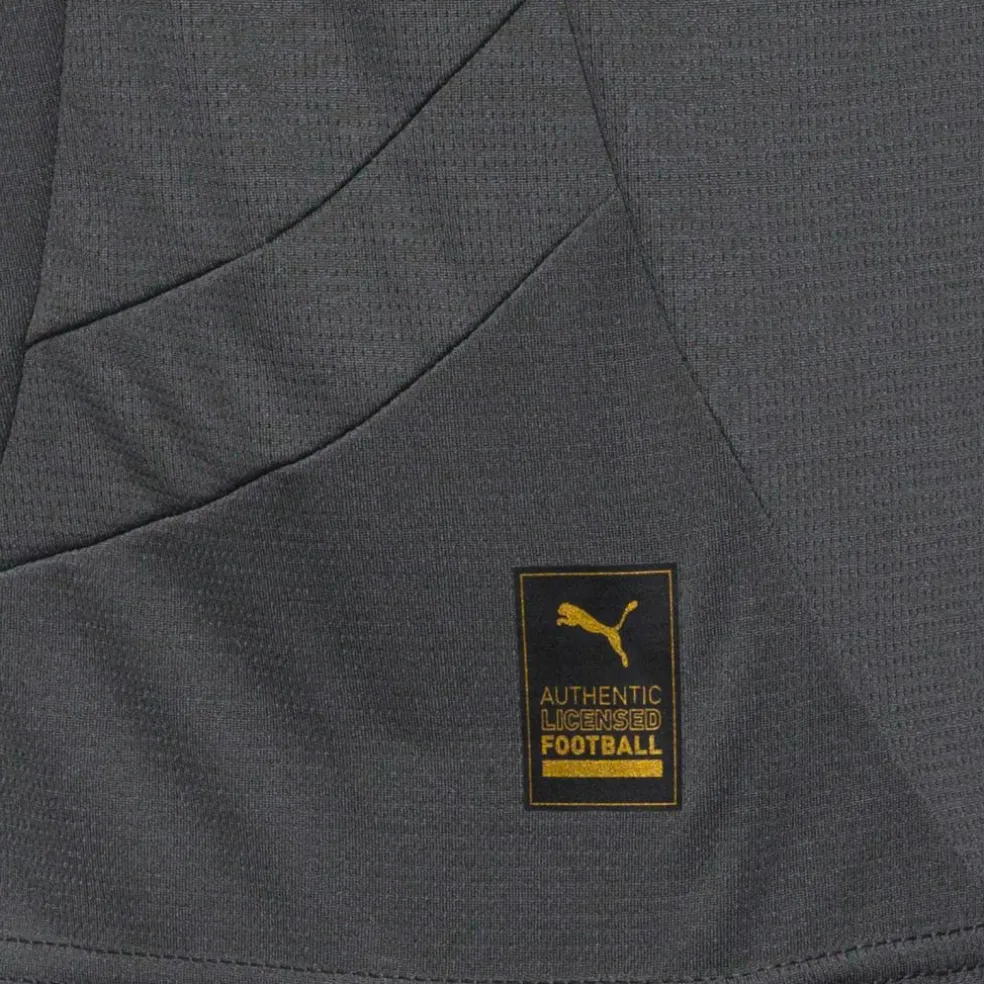 PUMA · AC Mailand CL 24/25 Ausweich