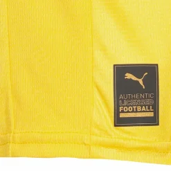 PUMA · Borussia Dortmund 25/26 Heim