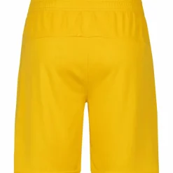 PUMA · Borussia Dortmund 25-26
