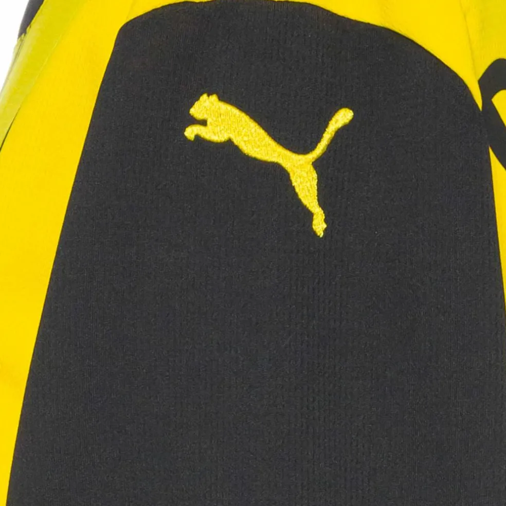 PUMA · Borussia Dortmund 24/25 Heim