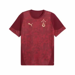 PUMA · Galatasaray Istanbul Trainingsshirt
