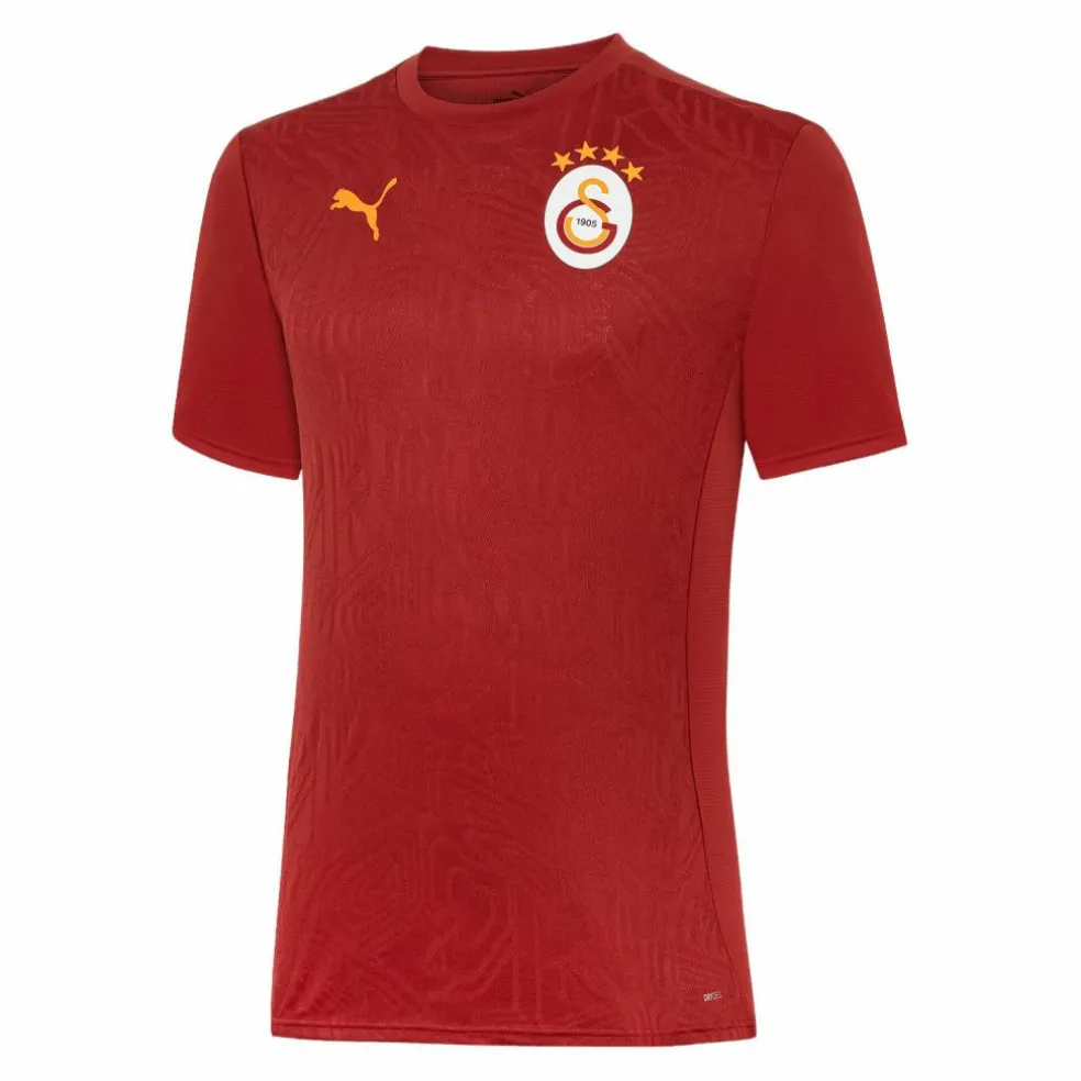 PUMA · Galatasaray Istanbul T-Shirt