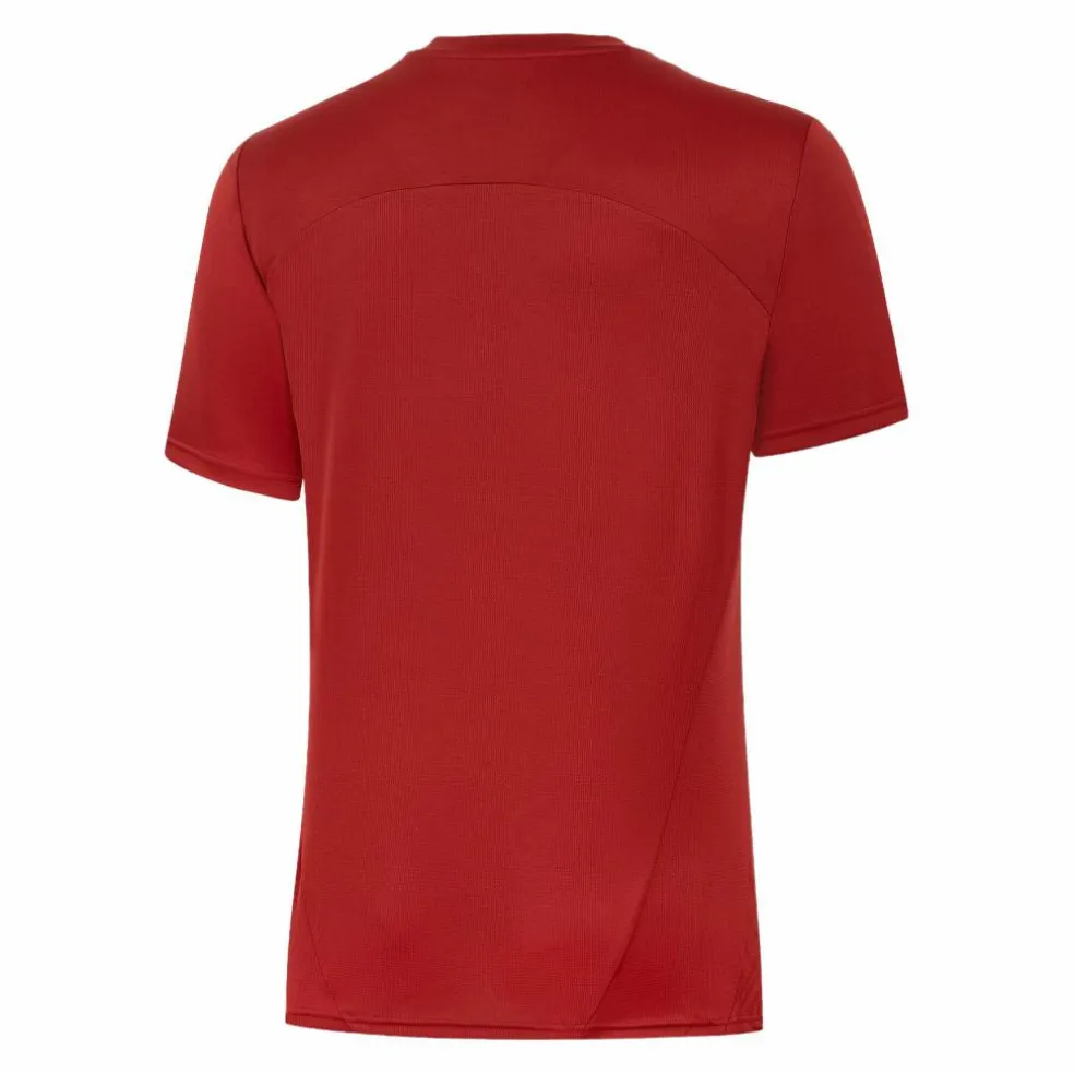 PUMA · Galatasaray Istanbul T-Shirt