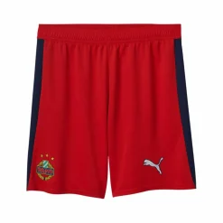 PUMA · SK Rapid Wien Short Auswärts 2025/2026