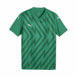 PUMA · teamGLORY Trikot Kids
