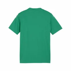 PUMA · teamGLORY Trikot Kids