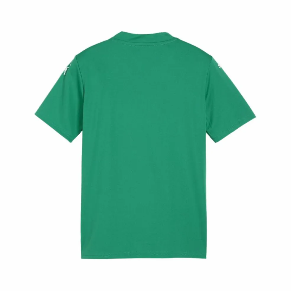 PUMA · teamGLORY Trikot Kids