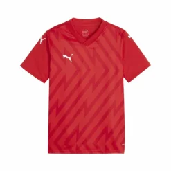 PUMA · teamGLORY Trikot Kids