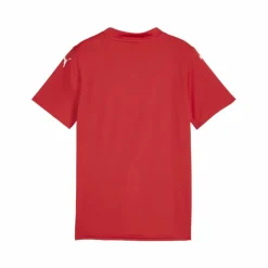 PUMA · teamGLORY Trikot Kids