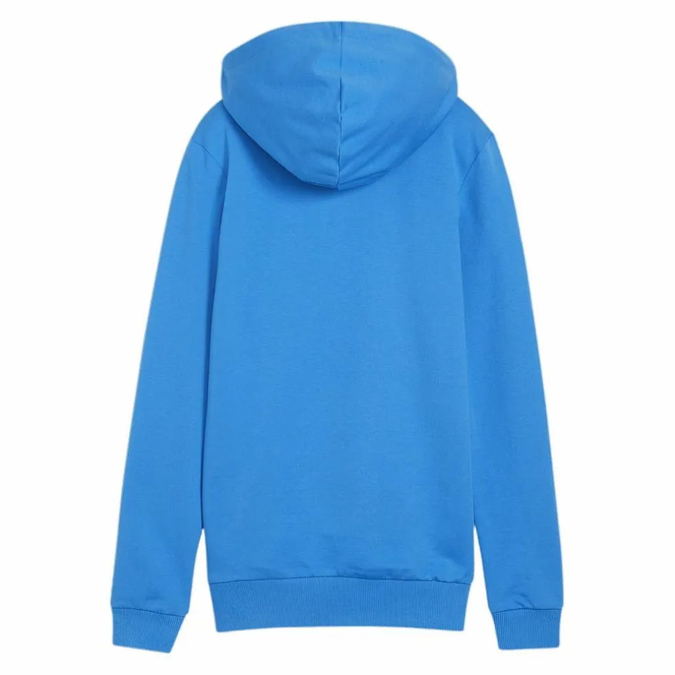 PUMA · teamGOAL Casuals Hoody Damen