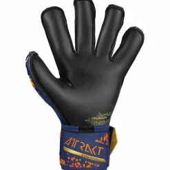Reusch · Attrakt Gold X Evolution