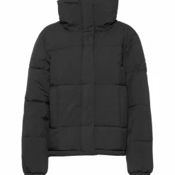 Roxy · WINTER REBEL