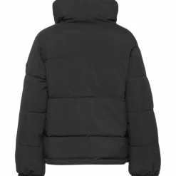 Roxy · WINTER REBEL