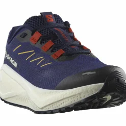 Salomon · AERO BLAZE 3 GRVL