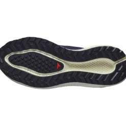 Salomon · AERO BLAZE 3 GRVL