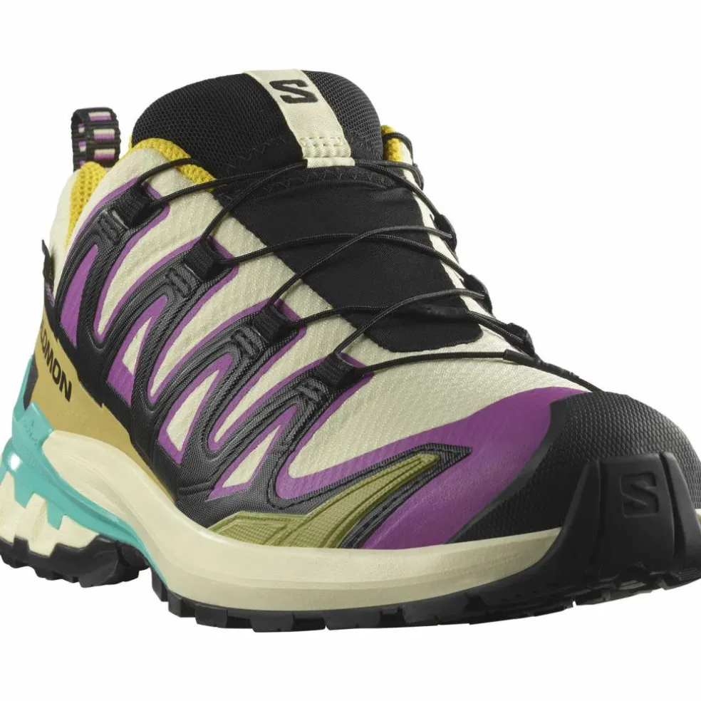 Salomon · GTX XA PRO 3D V9