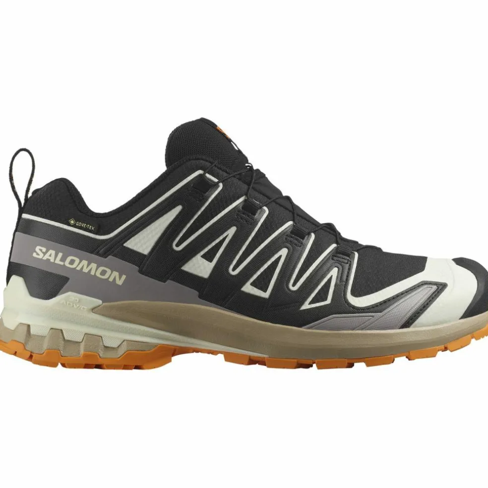 Salomon · GTX XA PRO 3D V9