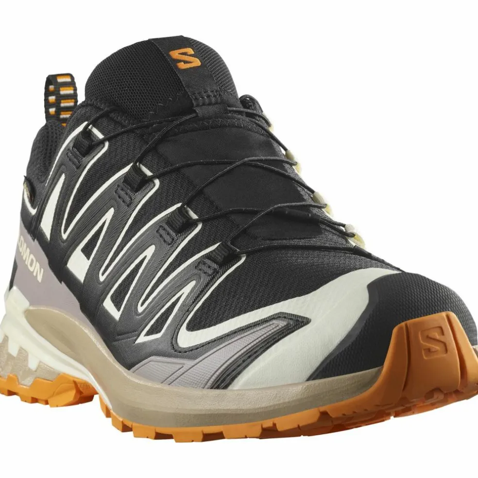 Salomon · GTX XA PRO 3D V9
