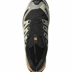 Salomon · XA PRO 3D V9