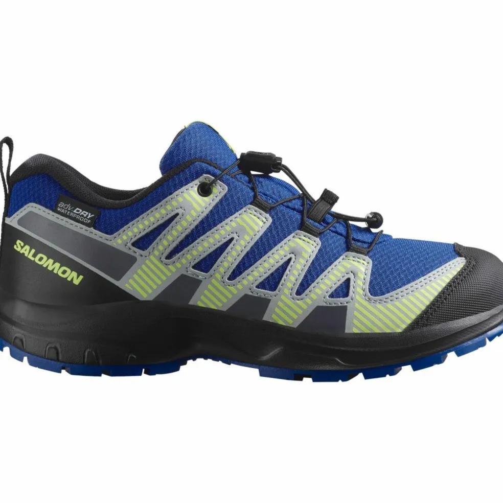 Salomon · XA PRO V8 WP